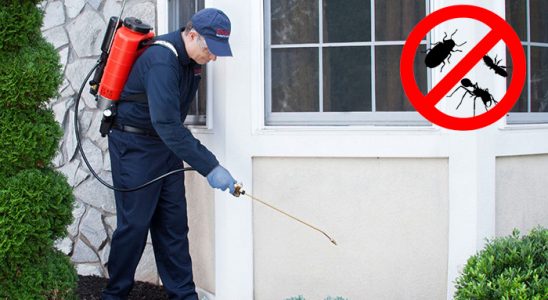 Yeniçağa Bit İlaçlama böcek ilaçlama ve haşere kontrolü — ilaclama-tr.com